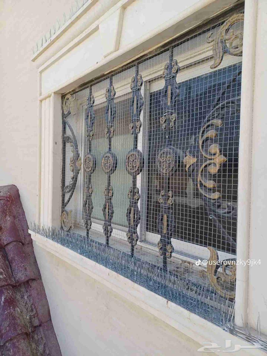 Installing a Deterrent for Pigeons, Birds, and Cats63613680683393112