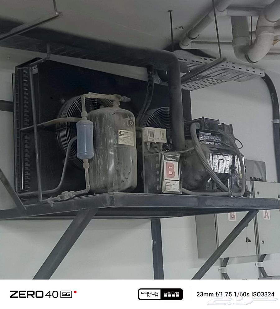 Refrigeration and Freezing Room Maintenance and Installation in Dammam63613901347586113