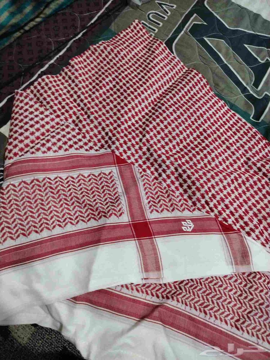 A shamgha from global companies63855653172610112