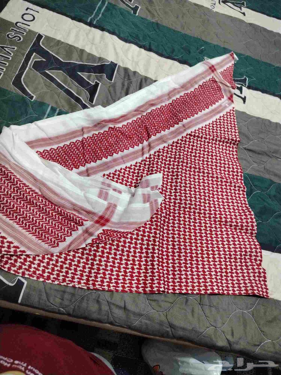 A shamgha from global companies63855653172610110