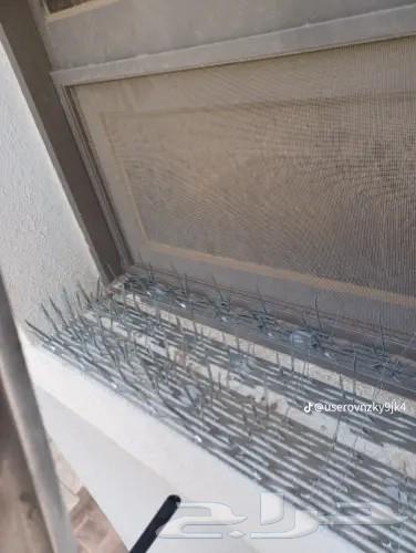 Installing a Deterrent for Pigeons, Birds, and Cats63613680683393113