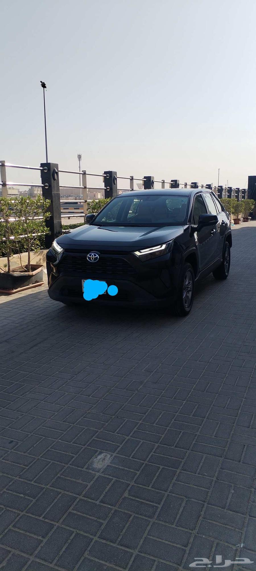 Raf Four 202464407210241155112