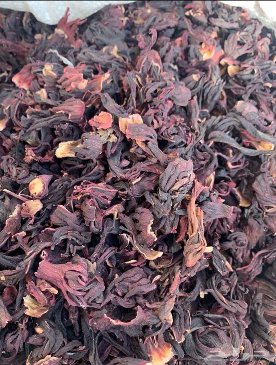 كركديه نيجيري بأسعار جملة64215655989890111