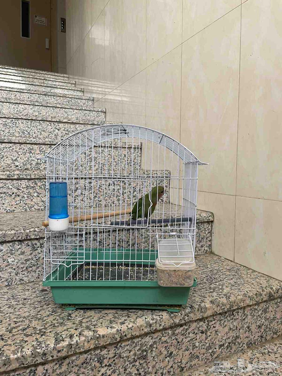 فرخ روز64221719157634112