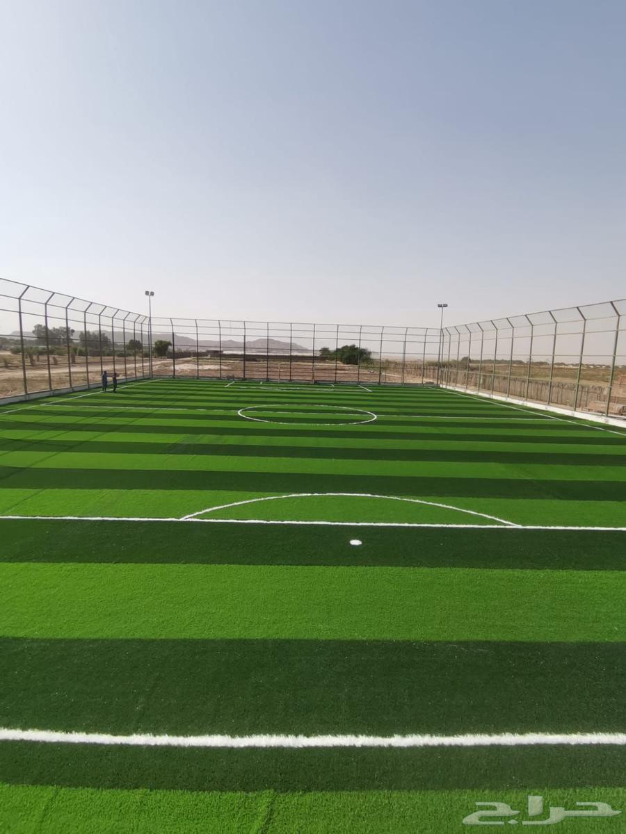 Installation and Layout of Sports Fields and Landscape Design63616239780482114