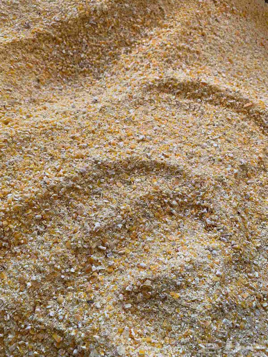 ذرة صفراء مجروشة جرش ناعم للبيع64214232647554110