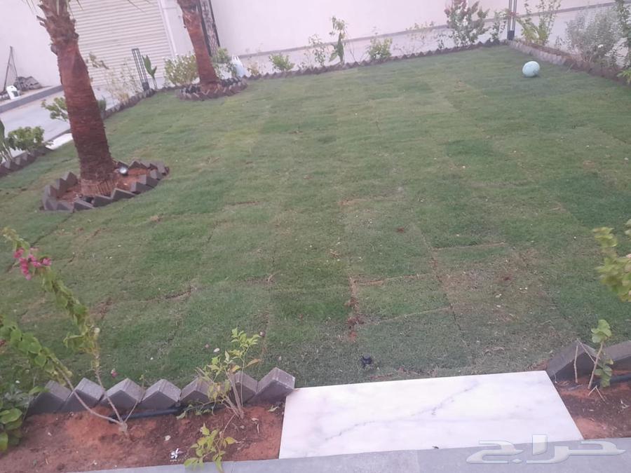 Garden landscaping63616120295682111