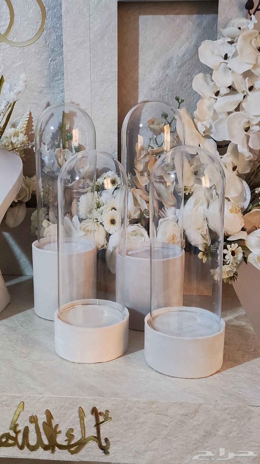 Queen Table - Grid View64231182117634113