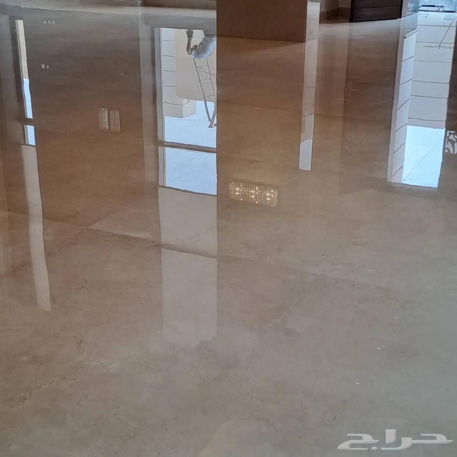 Tile Gel63616239917185114