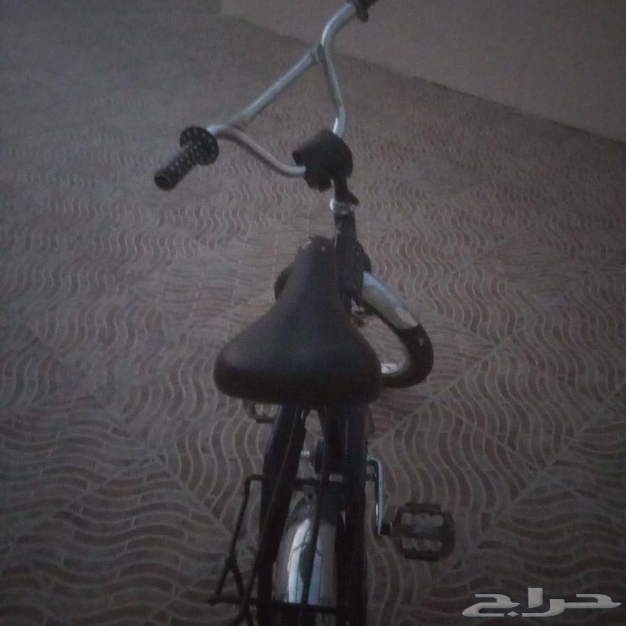 سيكل رامبو ازرق كحلي64223483777154111