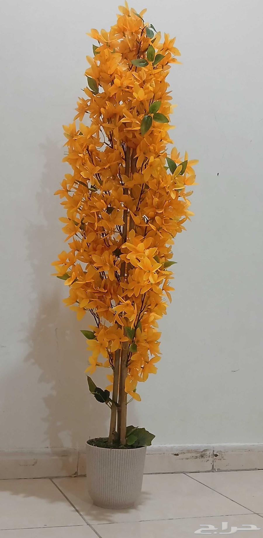 للبيع اشجار صناعي ألوان حسب الطلب64230646643073111