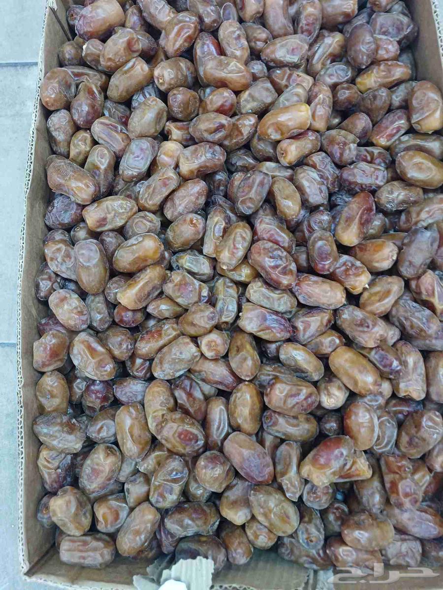 Sari dates for sale64217770662914110