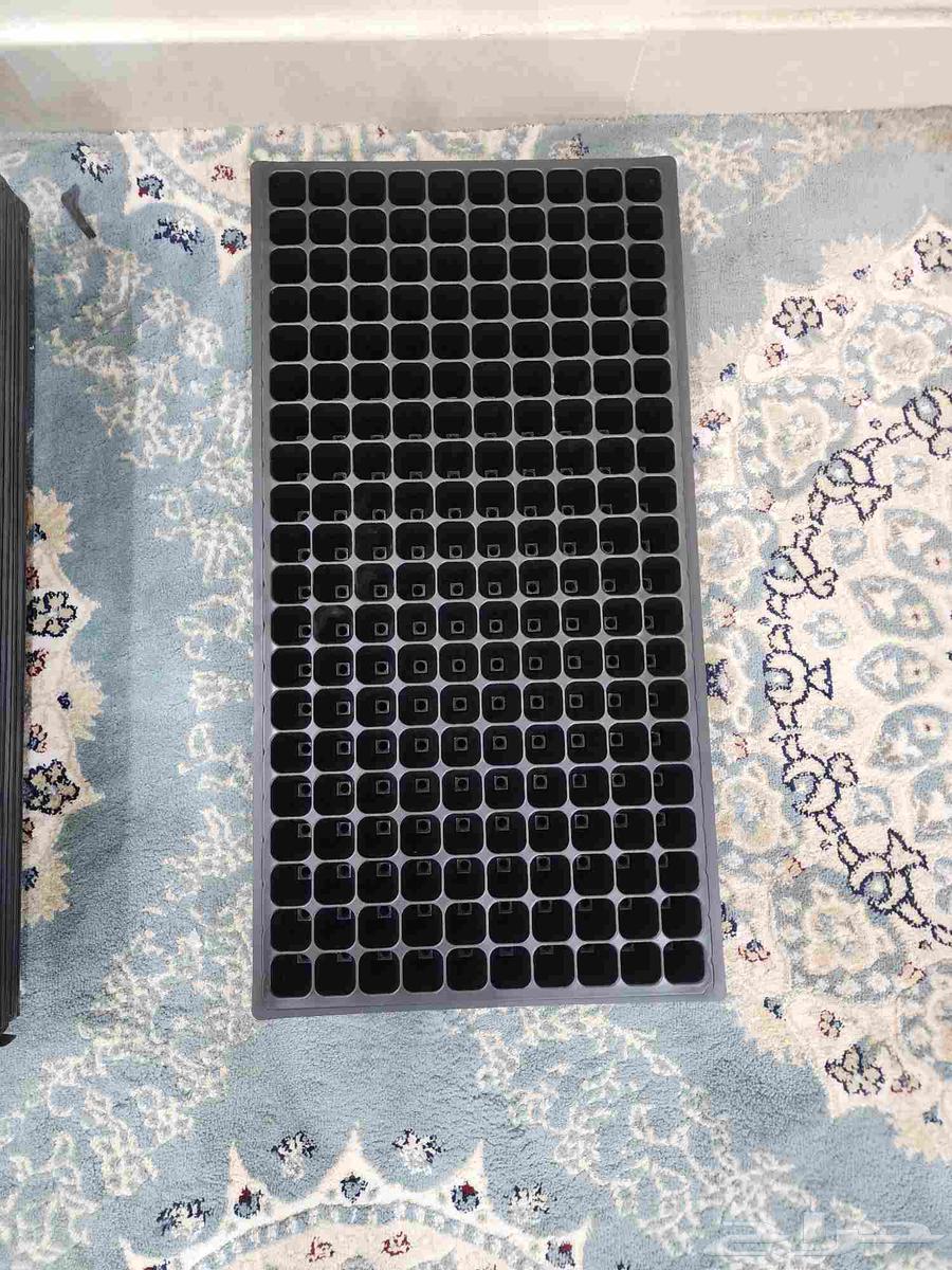 Trays of seedlings, three types. Each piece contains approximately 120 seeds64230803092099114