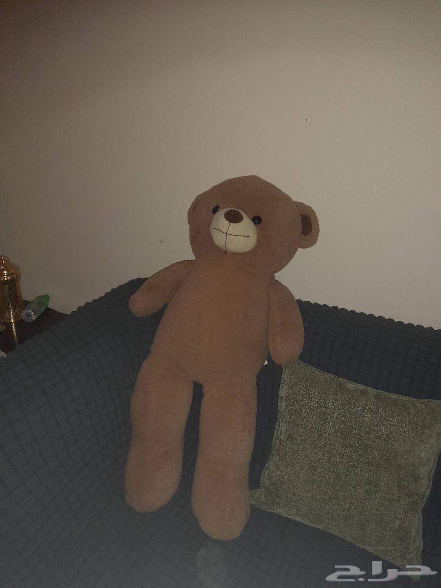 دبدوب دمية ع السوم64224396406147111