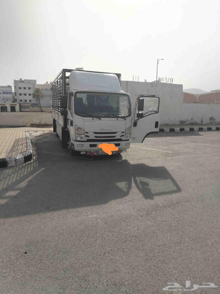 Dina Mahayel Aseer 6.5 meters open side64398214842627114