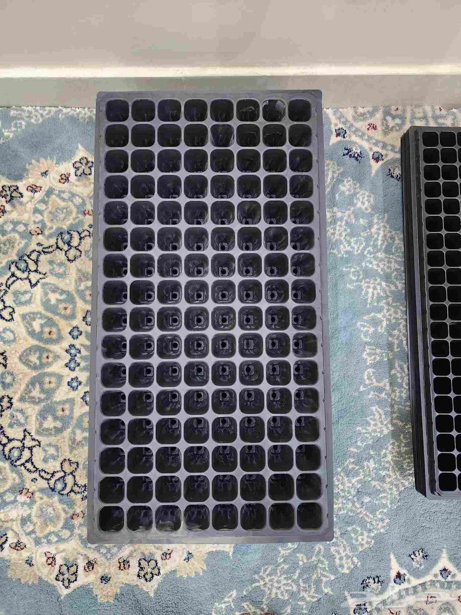 Trays of seedlings, three types. Each piece contains approximately 120 seeds64230803092099111
