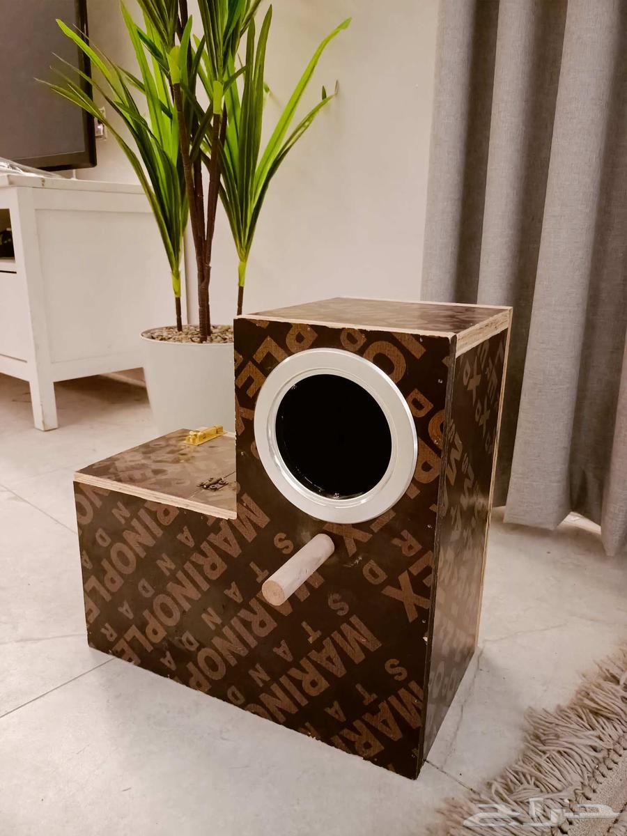 Parrot Whitening64219641752449110