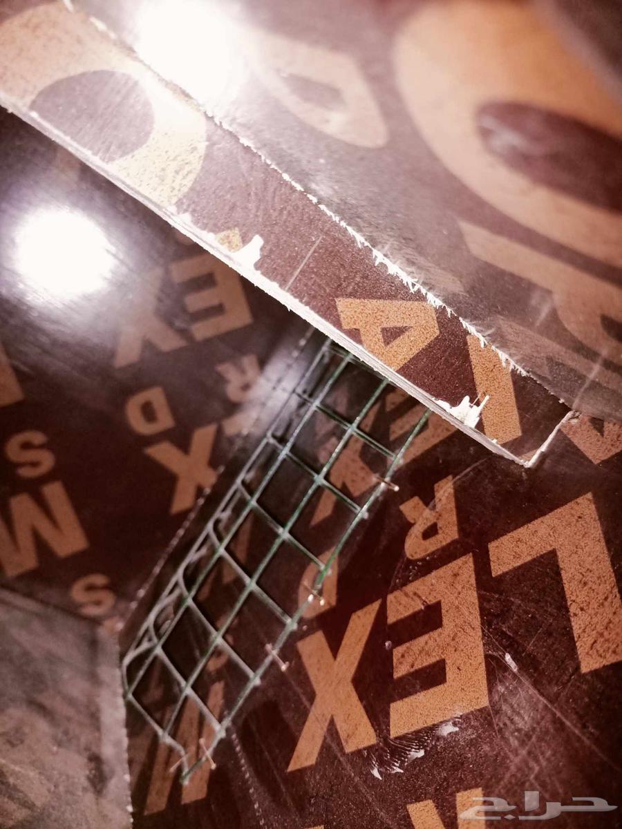 Parrot Whitening64219641752449111