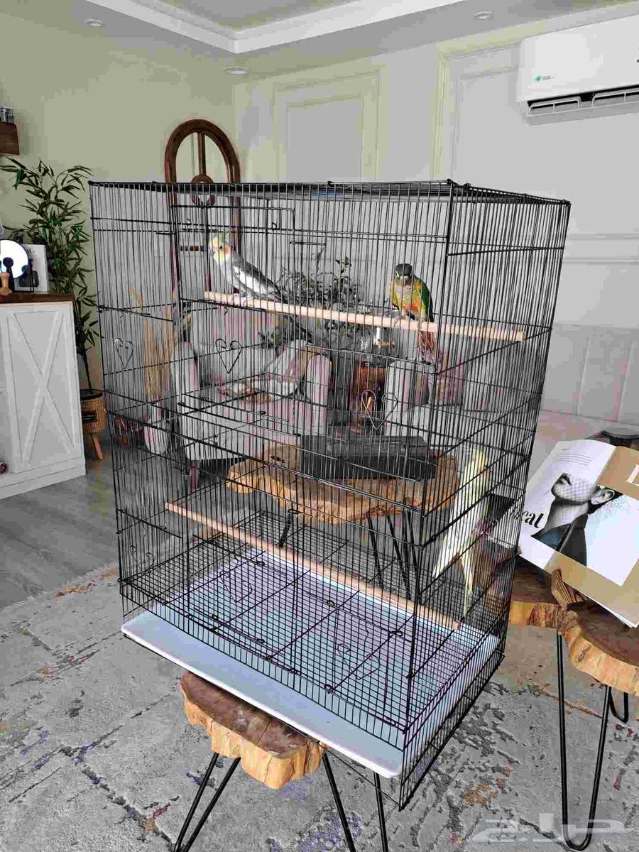 قفص كبير أو مطير لجميع الطيور64216361629571114