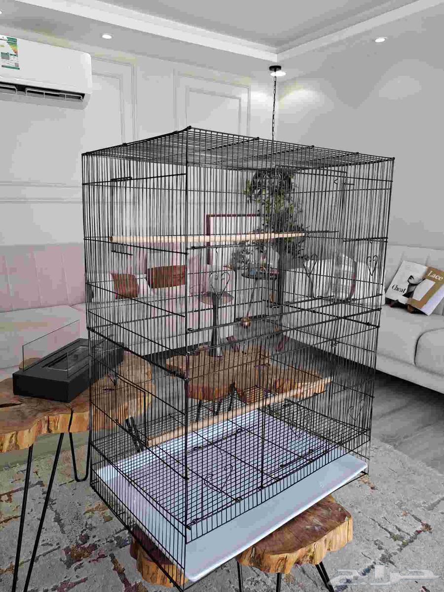 قفص كبير أو مطير لجميع الطيور64216361629571112