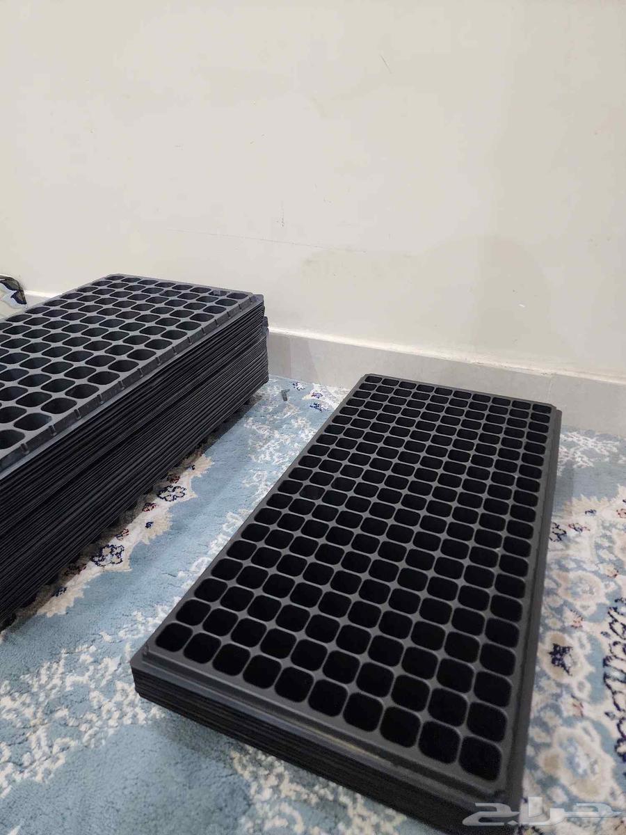 Trays of seedlings, three types. Each piece contains approximately 120 seeds64230803092099112