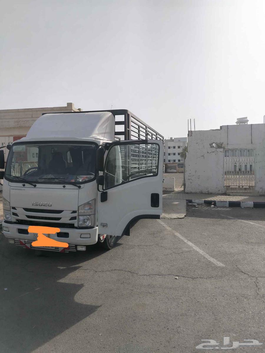 Dina Mahayel Aseer 6.5 meters open side64398214842627112