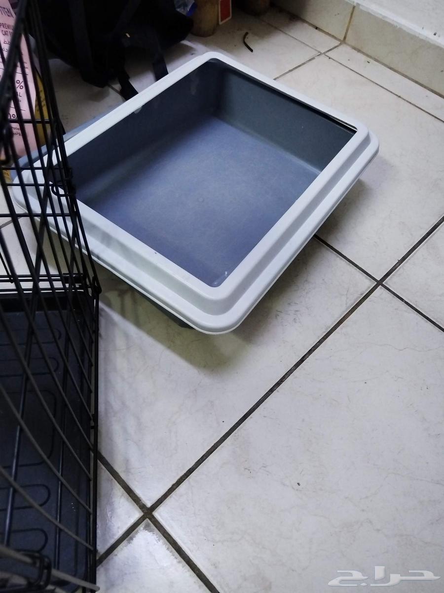 اغراض قطط للبيع64217987815041110