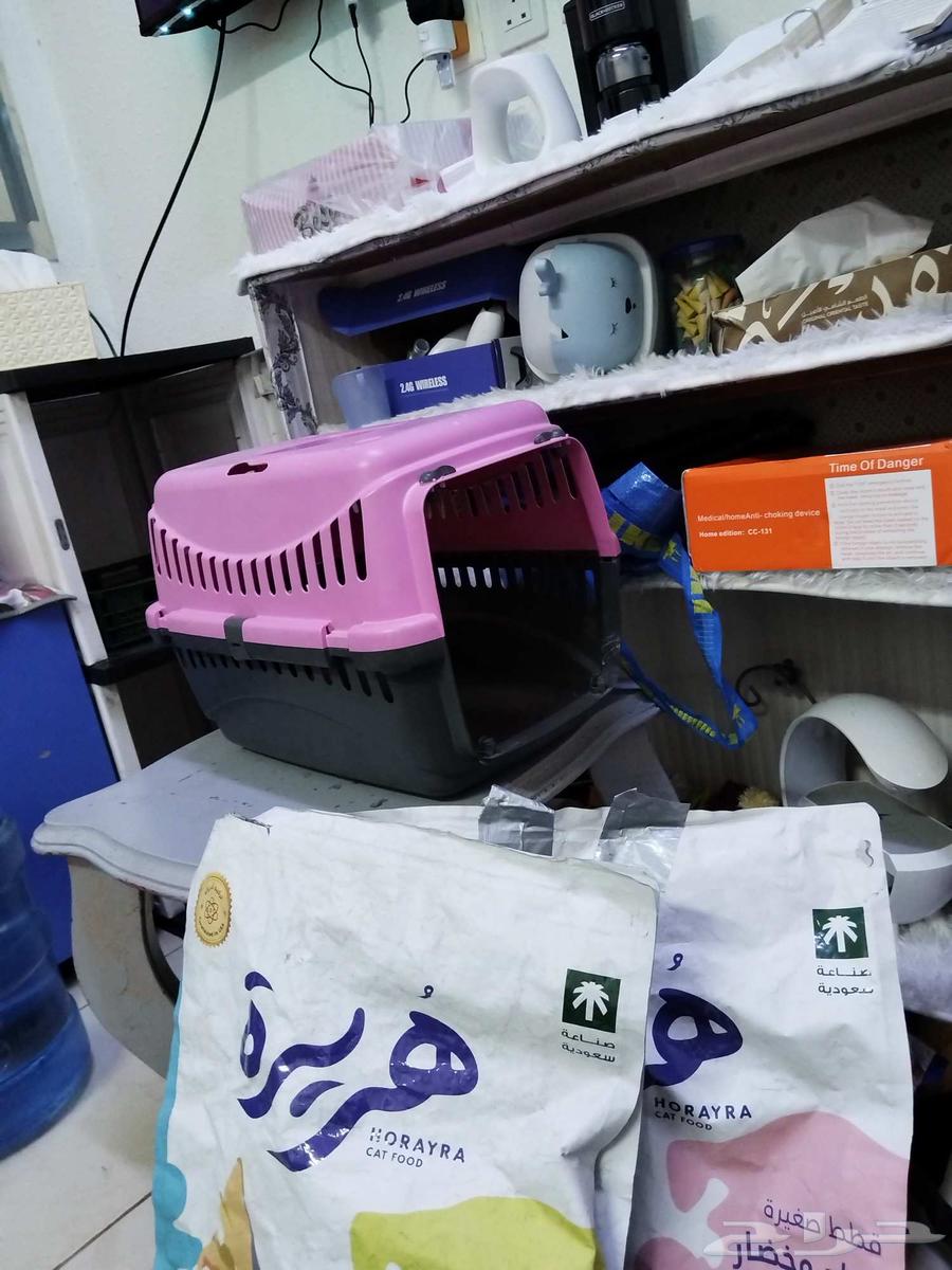 اغراض قطط للبيع64217987815041111