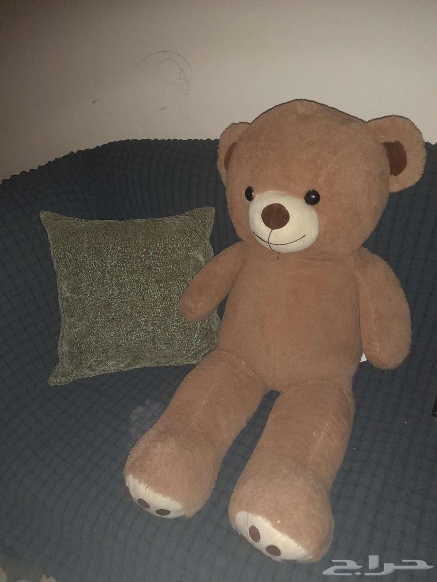 دبدوب دمية ع السوم64224396406147110