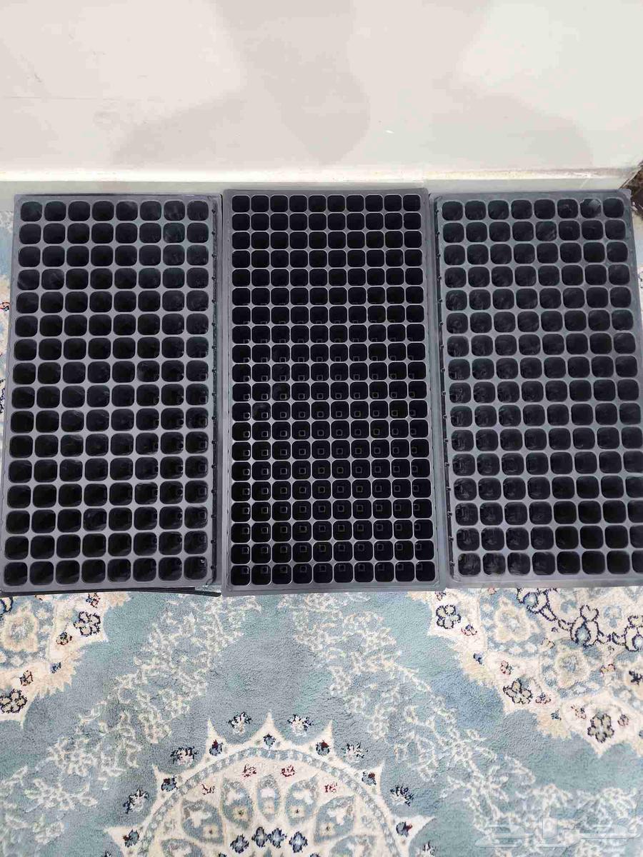 Trays of seedlings, three types. Each piece contains approximately 120 seeds64230803092099110