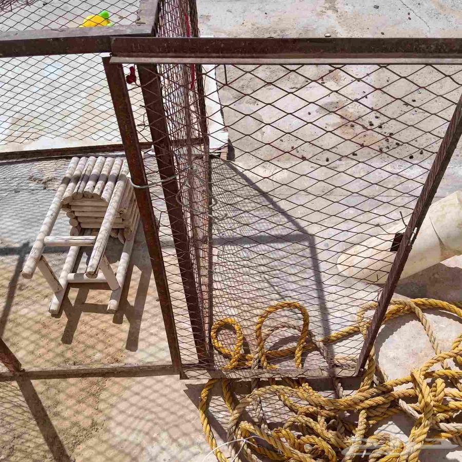 Chicken wire mesh with small openings and the door detached from the mesh64217290722050114