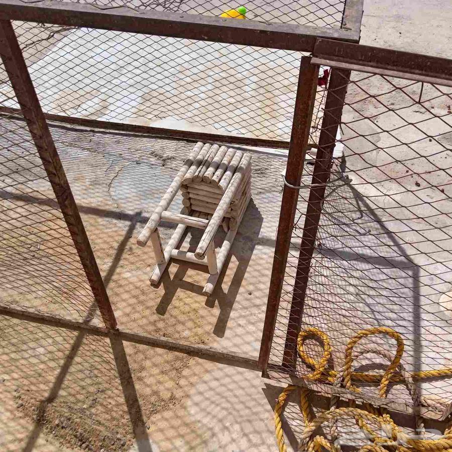 Chicken wire mesh with small openings and the door detached from the mesh64217290722050113