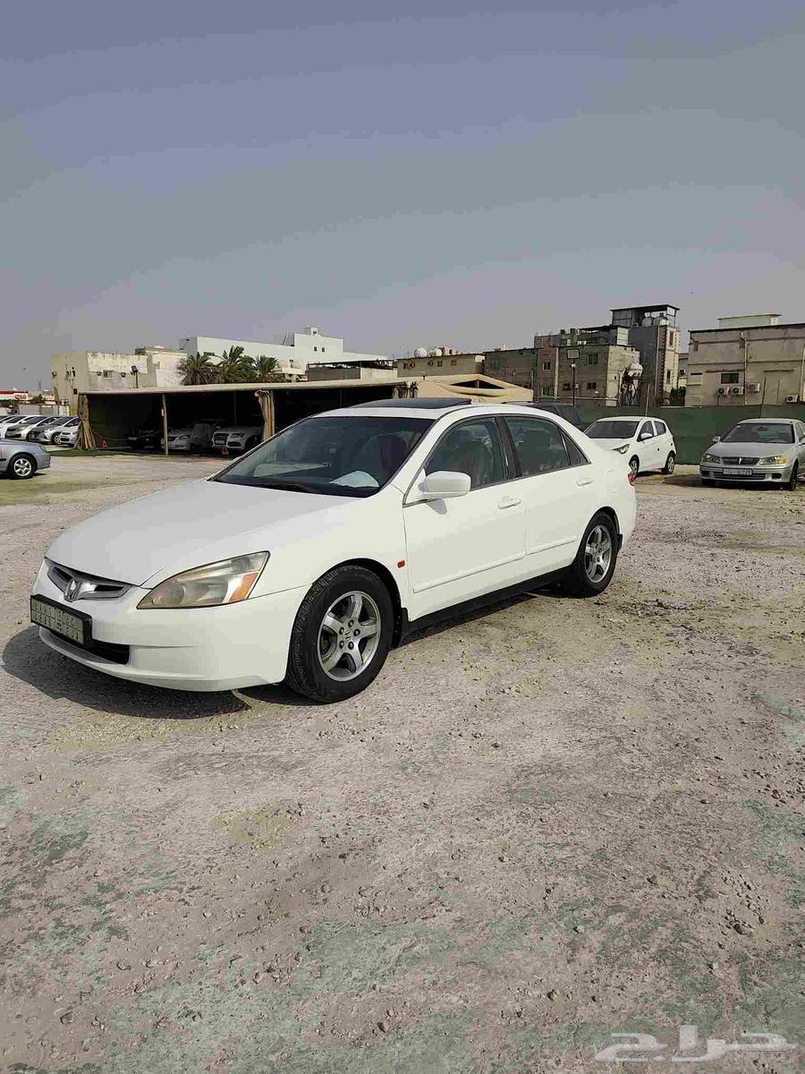 القطيف64402941614979110