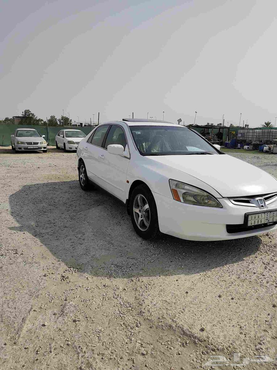 القطيف64402941614979111