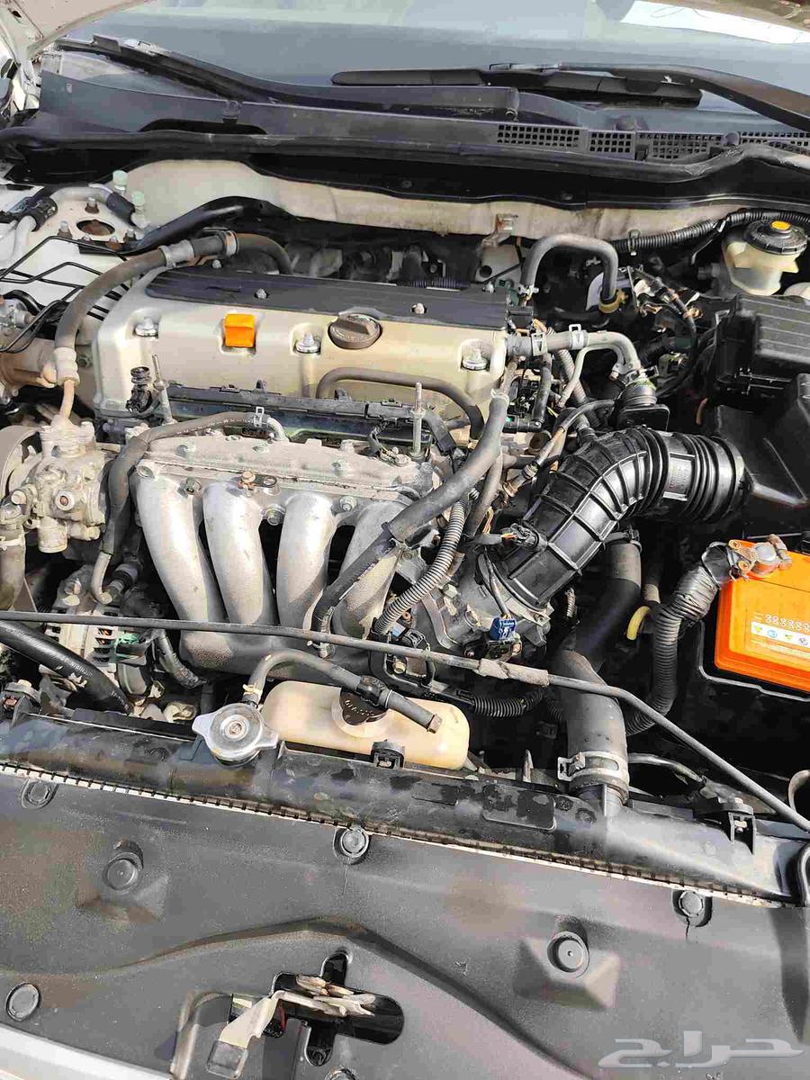 القطيف64402941614979114