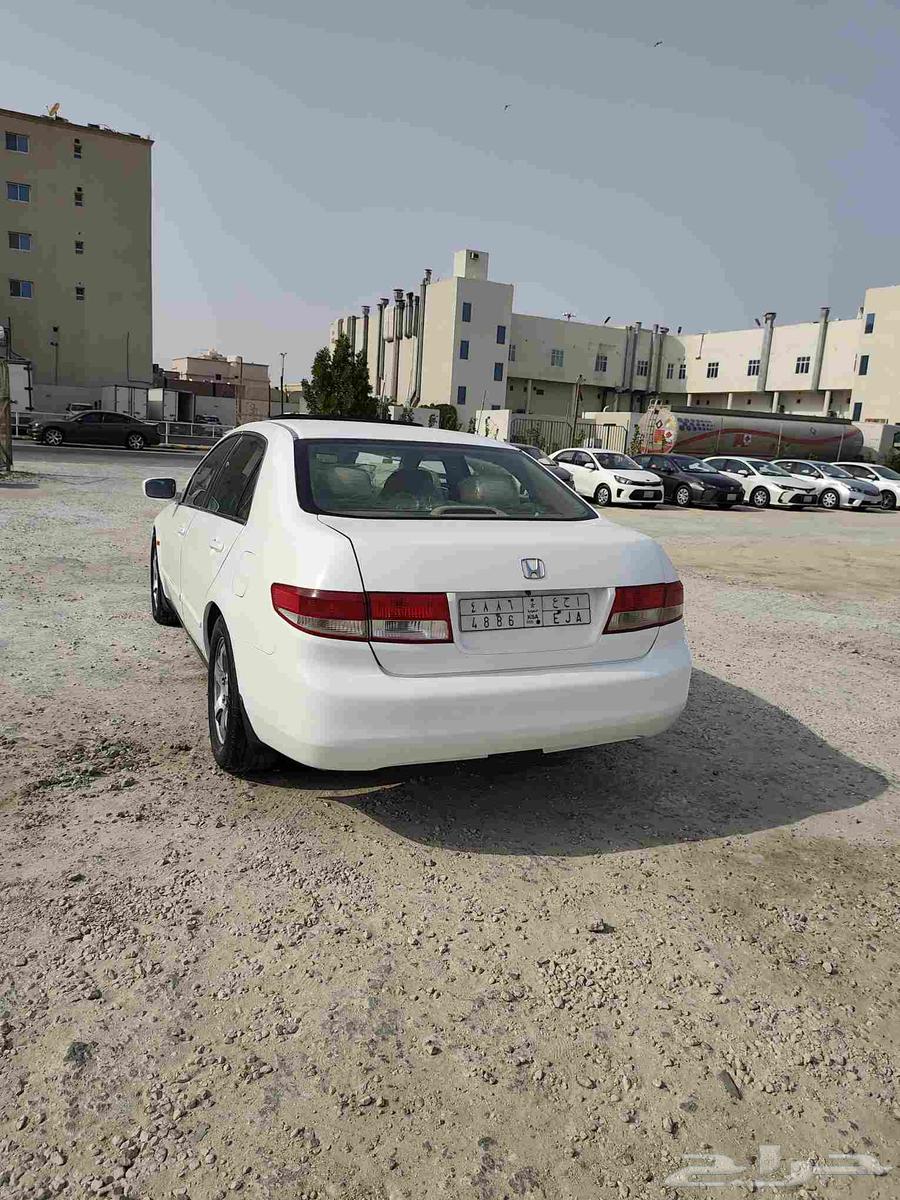 القطيف64402941614979112