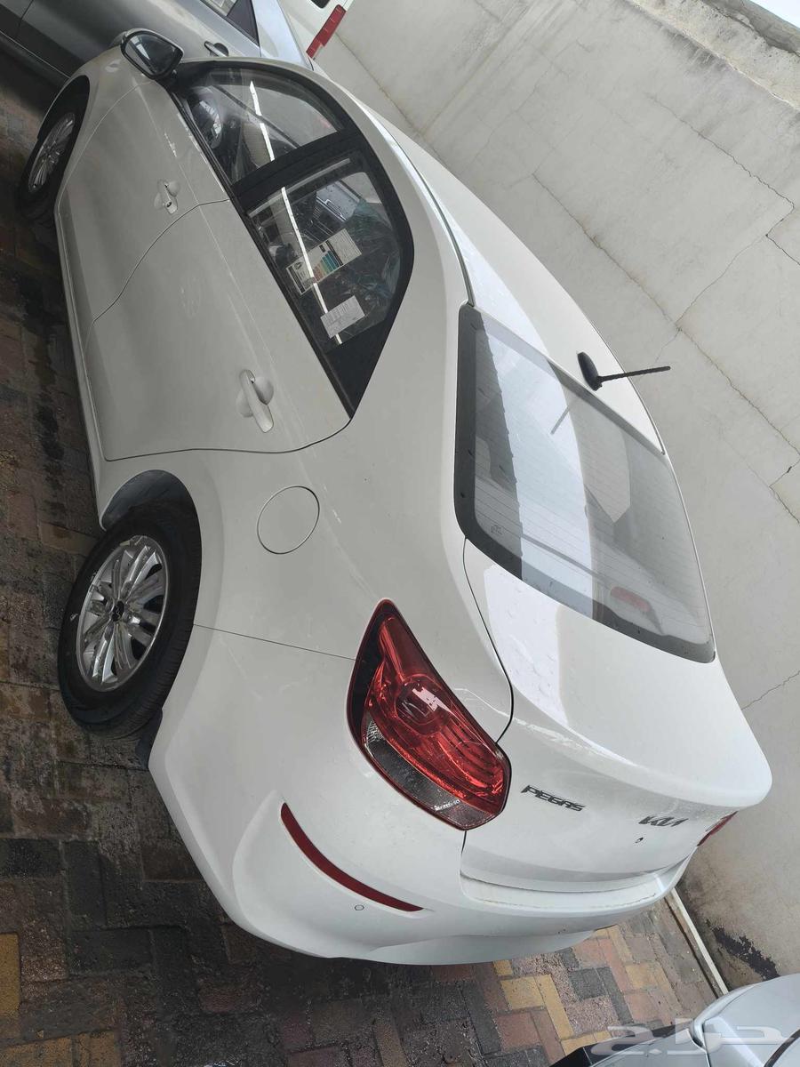 كيا بيجاس ستاندر 2025 عرض خاص64400231455619113