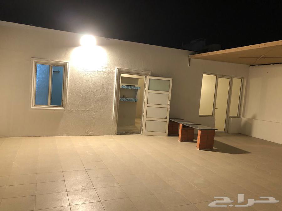 ديوانيه للايجار السنوي الشهري636133470565141115
