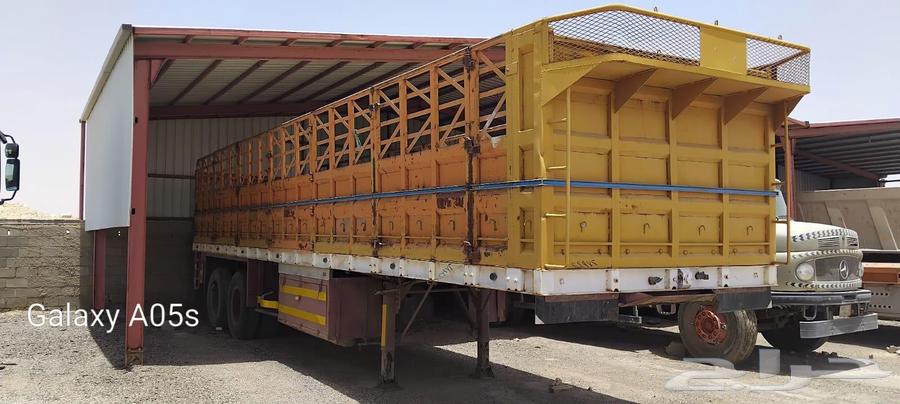 Juwanib Level64399271930242110