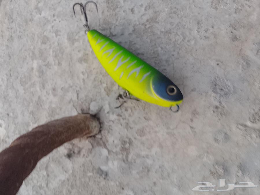 ضحي الملك فهد حقه صيد السمك64228201263106111