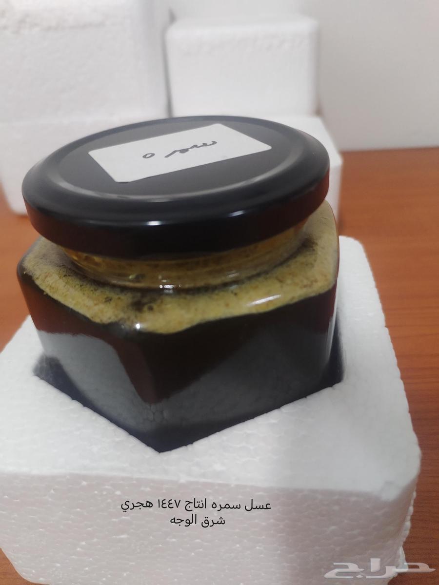 عسل طلح بري من جنوب تبوك الكيلو 300 ريال و النص 15064224108262915112