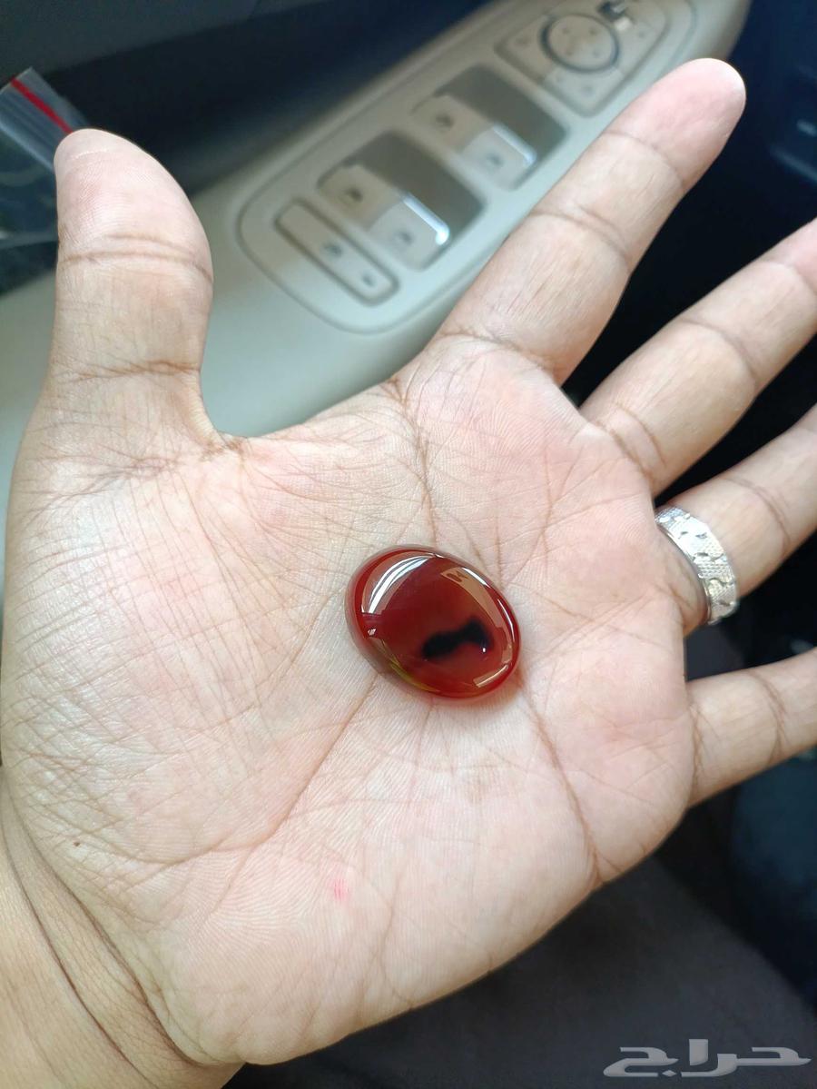 Authentic Yemeni Agate with Image of the Arabian Peninsula64218790621699114