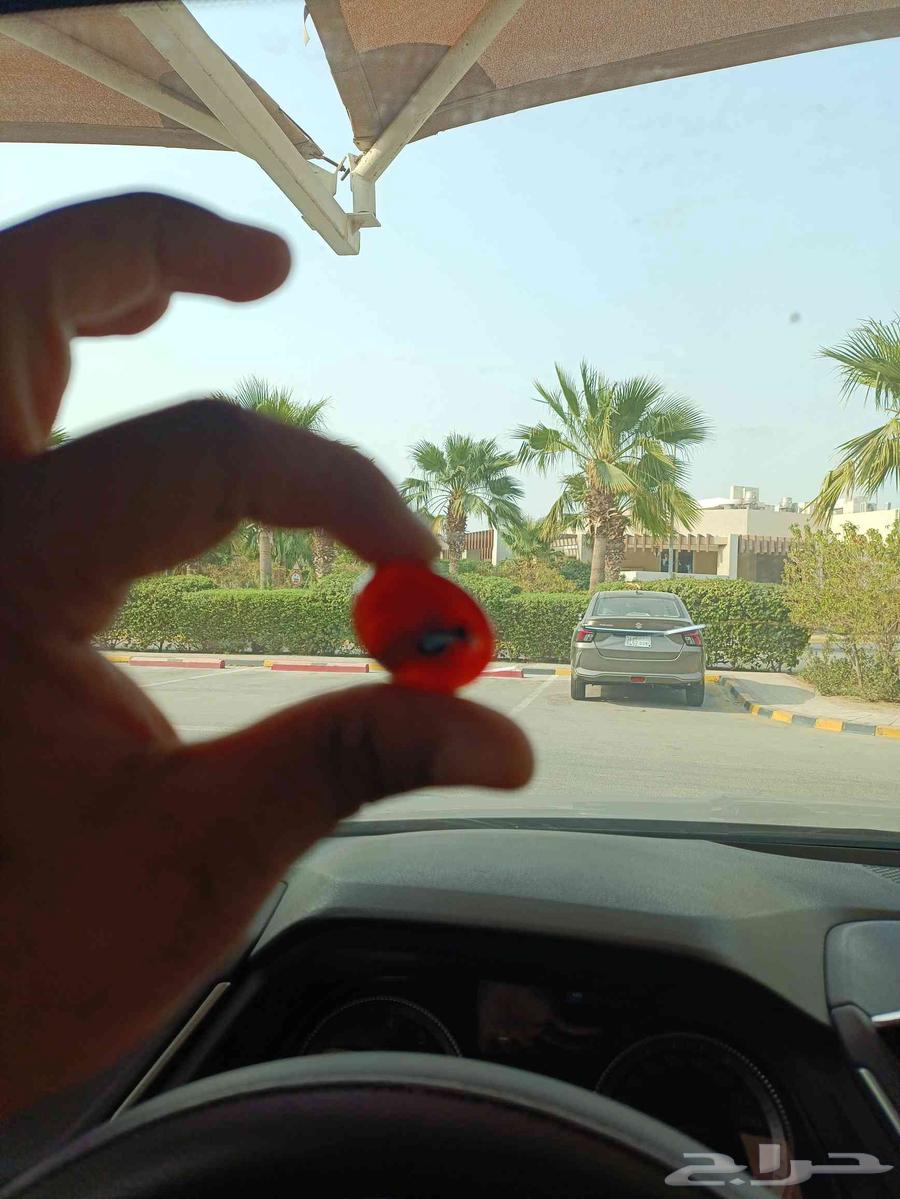 Authentic Yemeni Agate with Image of the Arabian Peninsula64218790621699111