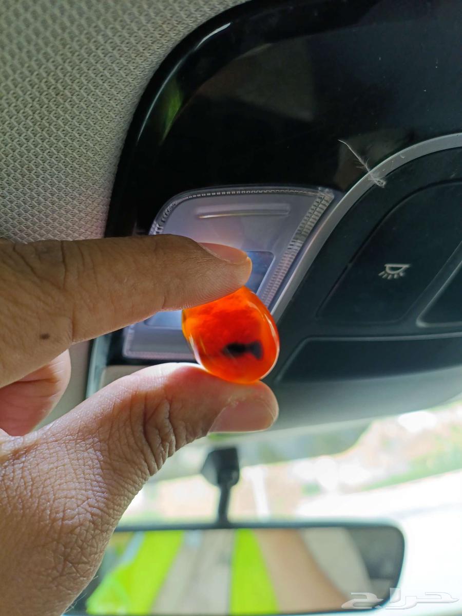 Authentic Yemeni Agate with Image of the Arabian Peninsula64218790621699112