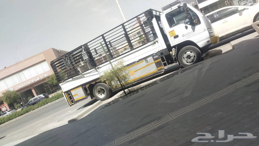 موجود دينا رياض جوا رياض في شغل كلم أنا64402299593602110