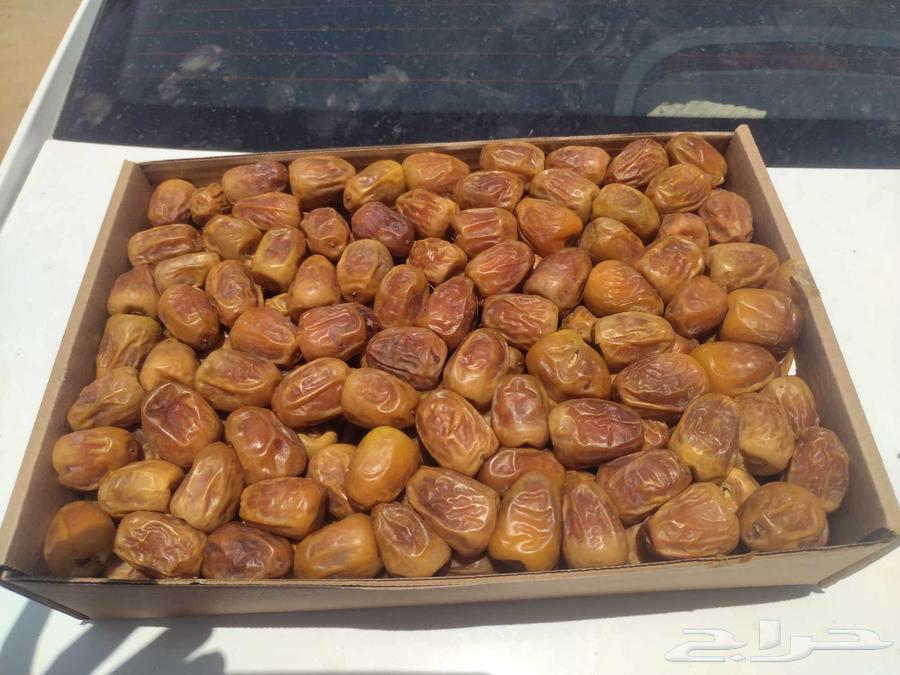 سكري مفتل من الدرجات الأولى خصم خاص للي ياخذ الكميه64219014827138110