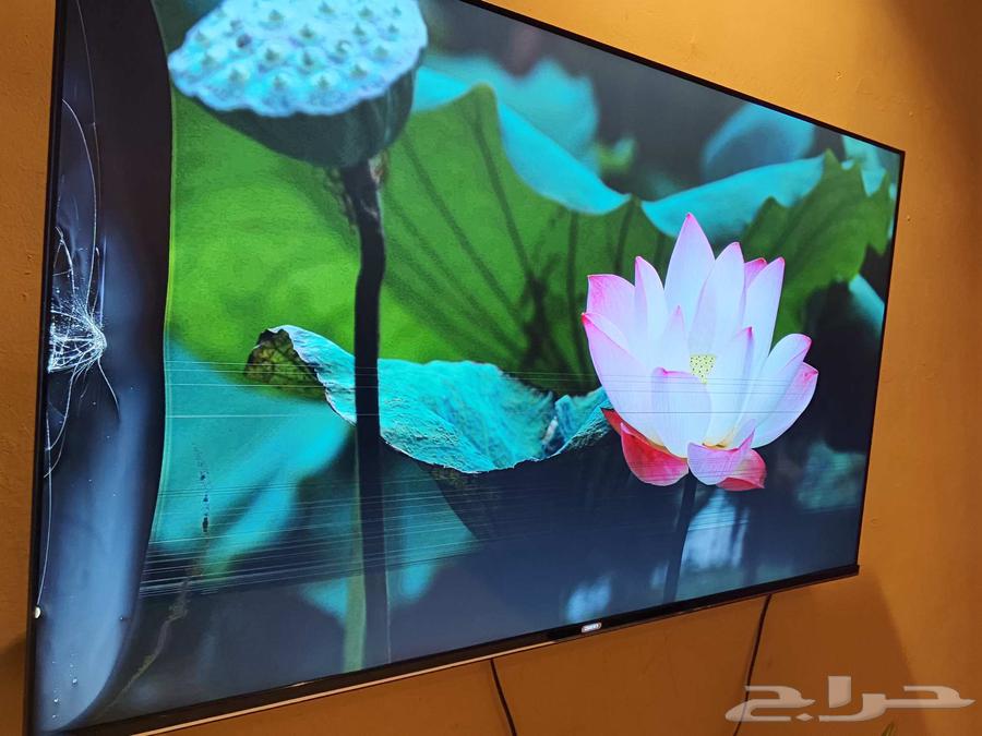 تلفزيون للبيع64228013737089111