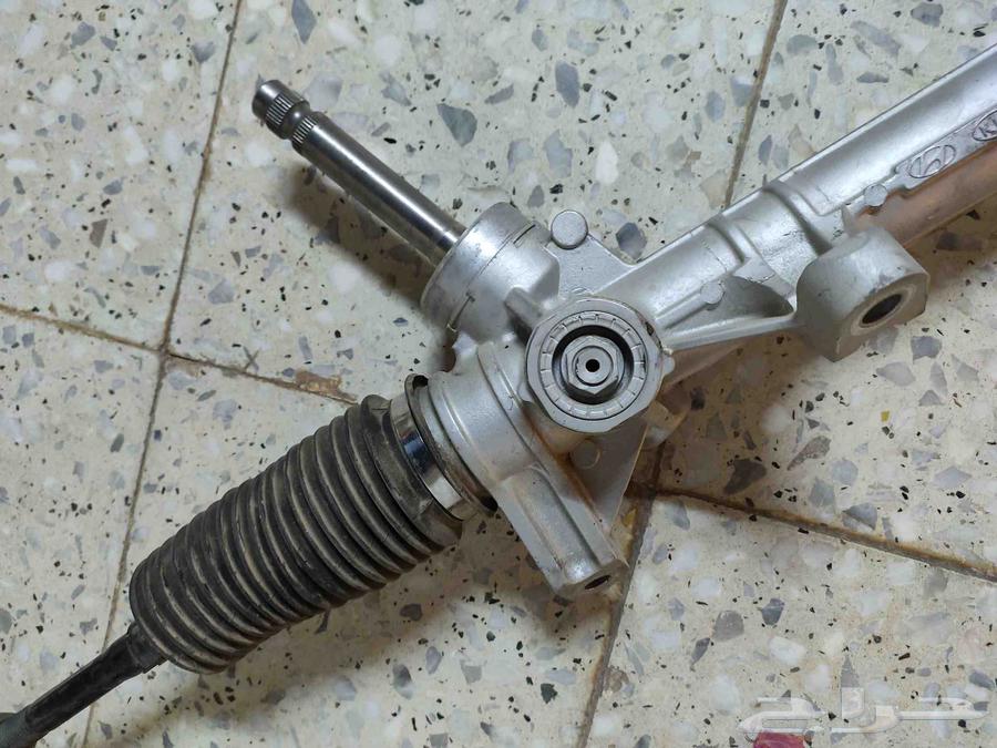 Worm64408202455042111