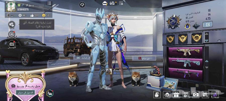 حساب بابجي عالمي للبيع64215889589761110