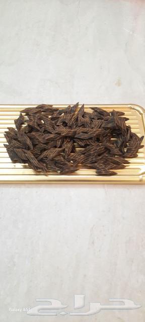 عود تايقر فيتنامي درجة أولى64221909241602111